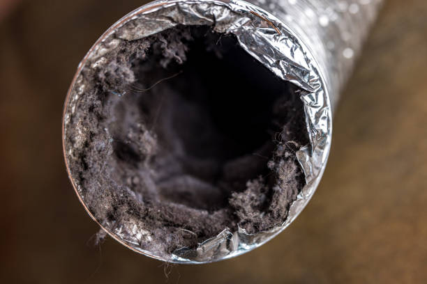 Best Affordable Duct Cleaning Services  in Cary, IL