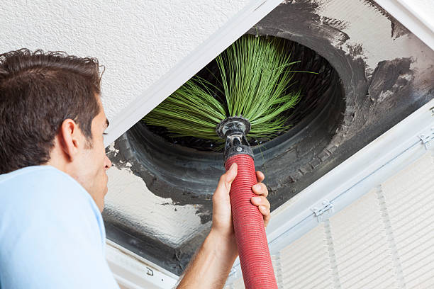 Best Professional Duct Cleaning Services  in Cary, IL